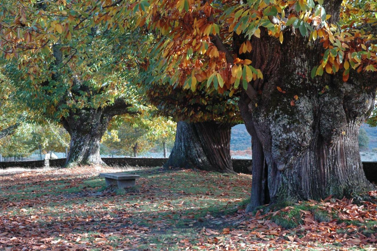 La Era De Sanabria Villa Villarino de Sanabria Kültér fotó