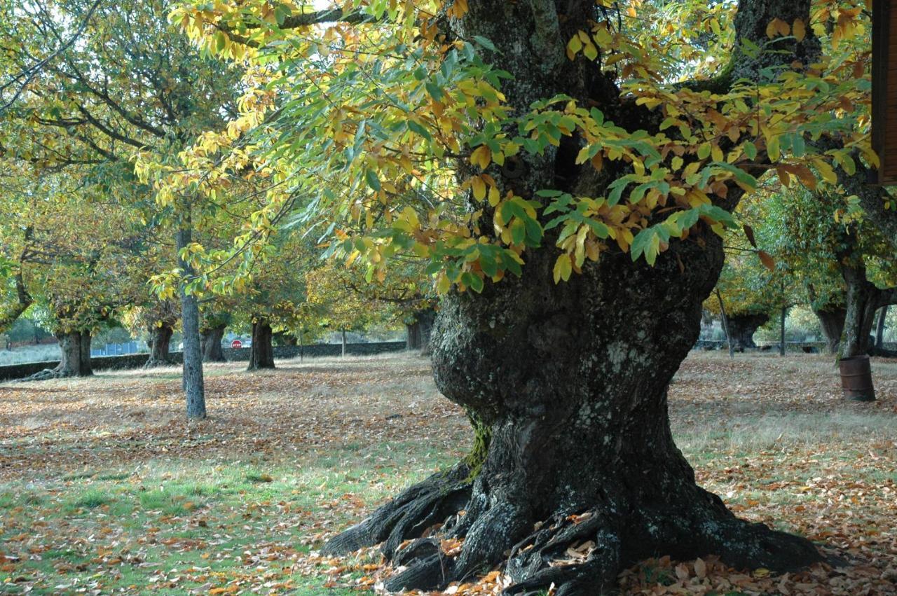 La Era De Sanabria Villa Villarino de Sanabria Kültér fotó